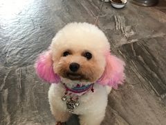 -水岸居湖景农家乐·阳澄湖大闸蟹