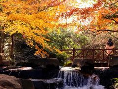 -中国茶叶博物馆(双峰馆区)