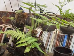 -道南書院·私房菜·早午茶·茶馆