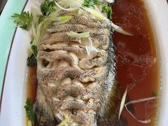 -巧克力渔家.小船海鲜胶东菜(万平口店)