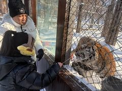 -横道河子东北虎林园