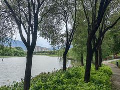 -飞来湖湿地公园