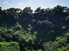 -海口火山口国家地质公园
