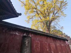 -金堂县云顶石城风景区