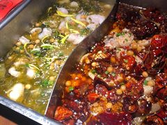 -舒来喜鱼锅(伊河路店)