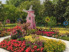 -上海共青森林公园