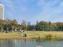 -渤公岛生态公园