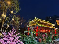 -田园印象·成都土菜院子(华阳店)