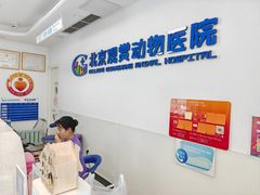 -北京观赏动物医院·24小时大型综合·猫专科·异宠专科