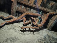 -张掖大佛寺景区