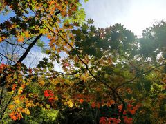 -本溪关山湖风景区