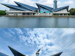 -盐城丹顶鹤湿地生态旅游区