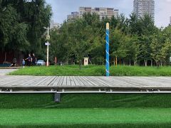 -长白岛森林公园