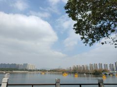 -洋湖国家湿地公园