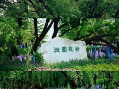 -海淀公园