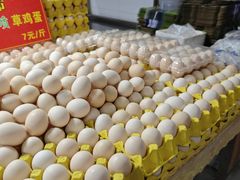 -朝阳菜场(白塔西路店)