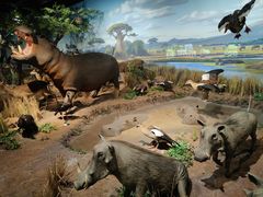 -陕西自然博物馆