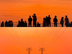 -宝安西湾红树林湿地公园