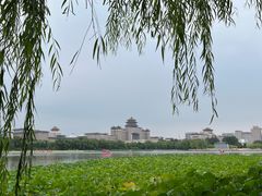 -莲花池公园
