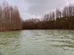 -上海海湾国家森林公园