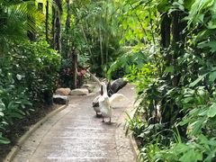 -厦门日月谷温泉渡假村