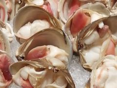 -安蒂娅·海鲜自助餐厅(安蒂娅美兰酒店)