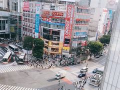 -涩谷区