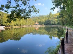 -深圳仙湖植物园