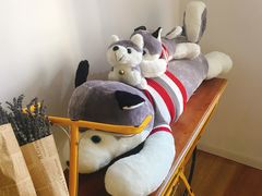 -Husky Go! 哈士奇体验馆·宠物咖啡厅狗咖