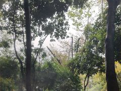-融汇温泉