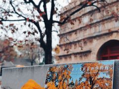 -北京石刻艺术博物馆(五塔寺)