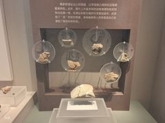 -诸暨博物馆