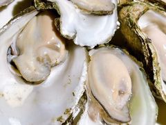 高压锅生蚝-就你餐厅(体育西横街店)