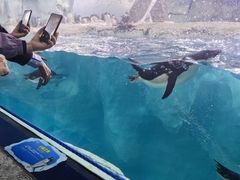 -珠海长隆海洋王国