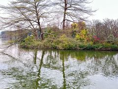 -海珠湖公园