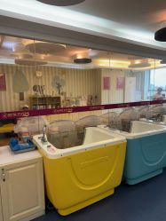 -金月汇月子会所(江门店)