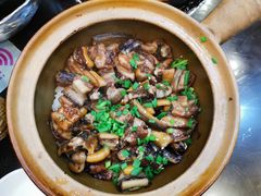 -红星光发煲仔饭(大石街店)