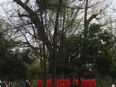 -西湖风景区十里琅珰-五云山