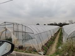 -小鱼草莓采摘园农家乐·小鱼餐厅