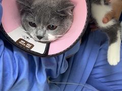 -联合动物医院(光谷诊疗中心)