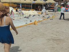 -太阳岛沙滩泳场水上乐园