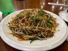 -邵年鸽(杨庄店)