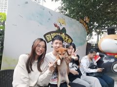 -柴犬高等学院·狗咖·柴犬售卖·宠物训练