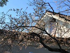 -无锡梅园公园