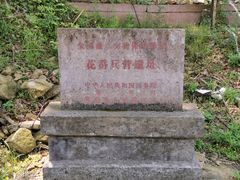 -花岙岛