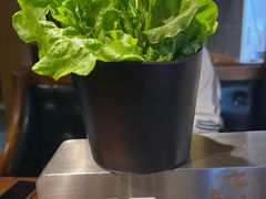 -九田家黑牛烤肉料理(新辰里亚运村店)