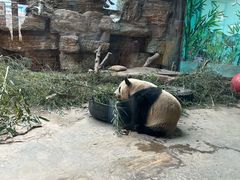 -石家庄市动物园