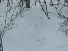 -Monchouchou檬舒舒(尚嘉中心店)