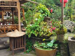 -青城甲(青城山店)