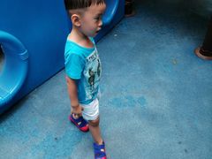 -晓港公园